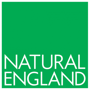 natural-england-logo-vector